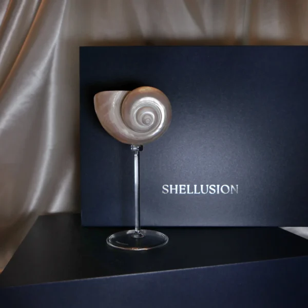 Shellusion Glass – Art of the Ocean — изображение 3